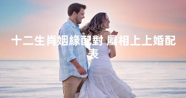 十二生肖姻緣配對 屬相上上婚配表